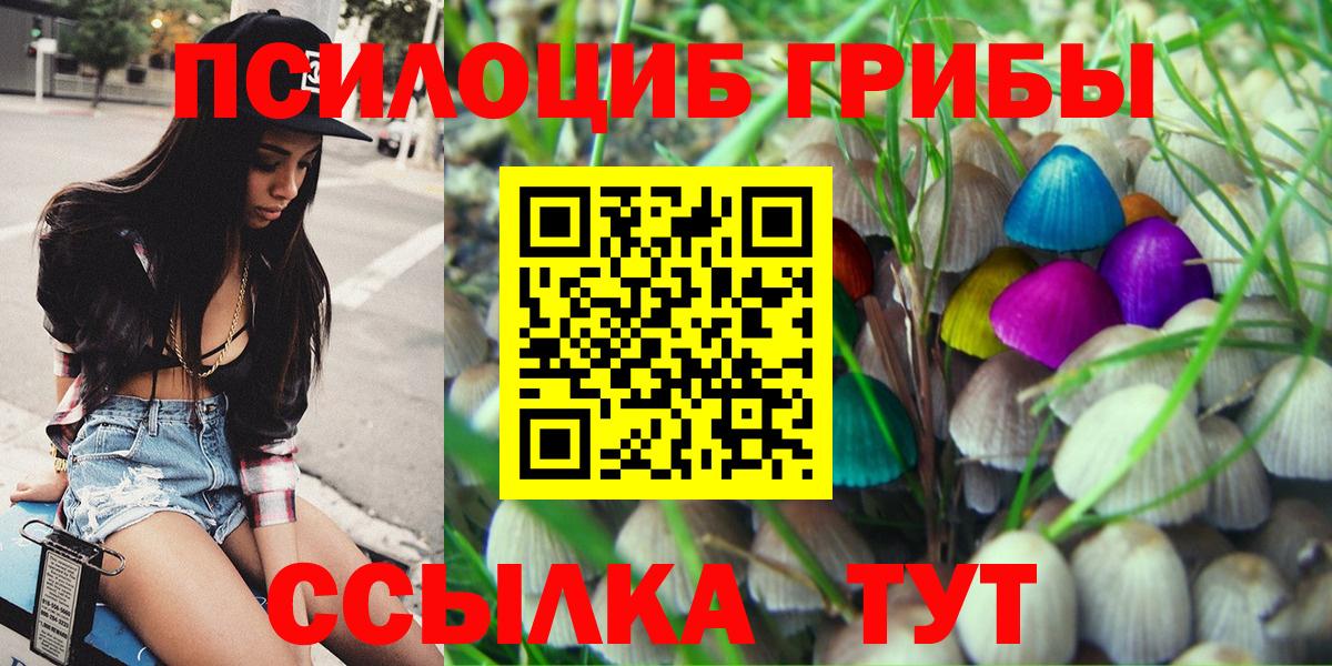 Галлюциногенные грибы Psilocybine cubensis  Вход с VPN  Черногорск 